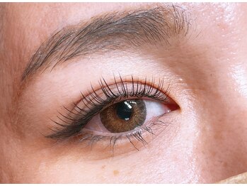 デイズ アイ ベクシー(Day`s eye Becsy)/フラットラッシュ160束