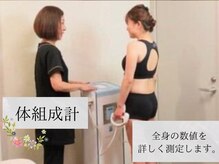 ダイエット サポート(DIET SUPPORT)/体組成計