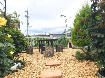 おうちさろん舞の写真