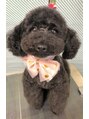 アミュレ(AMULE)&nbsp;愛犬のめるちゃんです☆