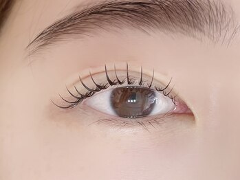 デジール/池袋/韓国風まつげパーマ