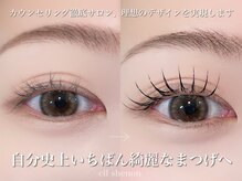 シル シェノン(cil shenon)