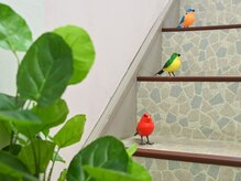 ヴィヴィ(ViVi)/癒しリフレッシュ、ご褒美dayに