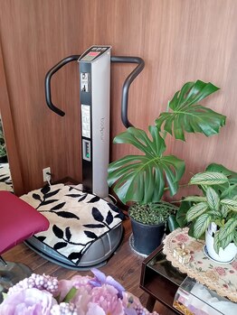 美 セル(cell)/ブルブルマシン