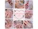 ピンクハルナネイル(pink haruna nail)の写真