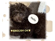メンズブリリアンス(MEN’s BRILLIANCE)/★男性ワクサーは英語対応可能☆