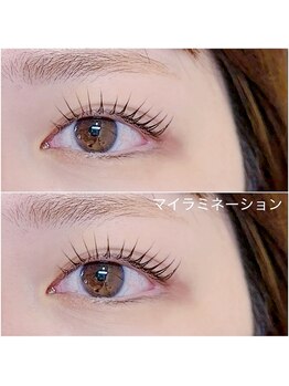 リース(wreath)/マイラミネーション