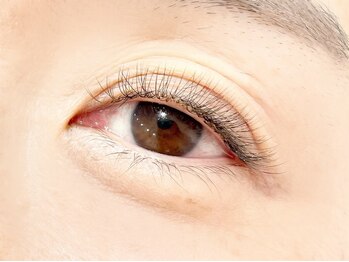 noelie【2/1 NEWOPEN(予定)】の写真/圧倒的な持続力《LEDエクステ》導入店☆綺麗な目元のキープが叶う♪初回オフ無料!