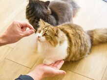 晴々/ミモザ店長の特技！