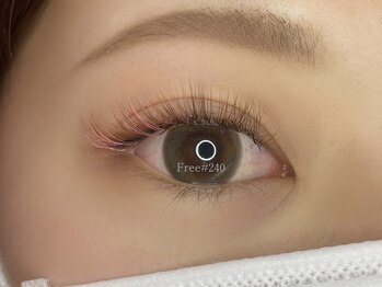 フリー#240(Free#240)/ラッシュシャドウ◇300本