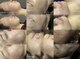 サロン 398(salon 398)の写真