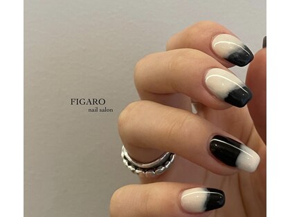 フィガロ(FIGARO)の写真