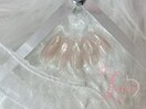 定額Aコース