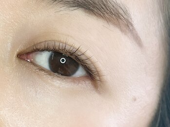 テラ アイラッシュ(TERRA eyelash)/＊ブラウンフラットラッシュ ＊