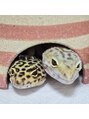 癒し処倉田屋 岡谷フォレストモール店&nbsp;ヒョウモントカゲモドキを飼っています。