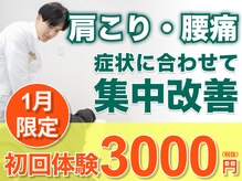 整体ナチュラル(Natural)