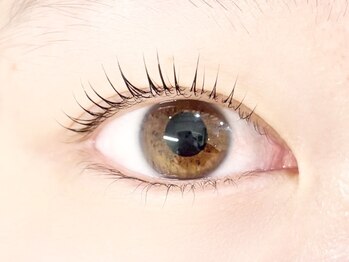 eyelash salon f deux アイラッシュ専門店 【エフ ドゥ】【4/1OPEN(予定)】/まつ毛パーマ