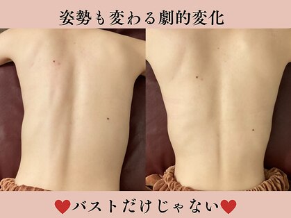 コモド(COMODO)の写真