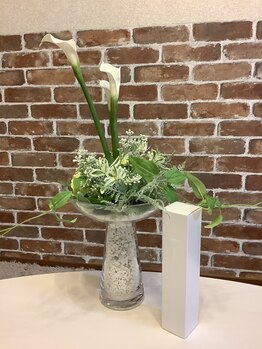 カラーリリー(Calla Lily)/◆ホームケア