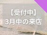 【3月:残り3名】がっつり強めのリンパマッサージ+(計120分)*男性施術者です