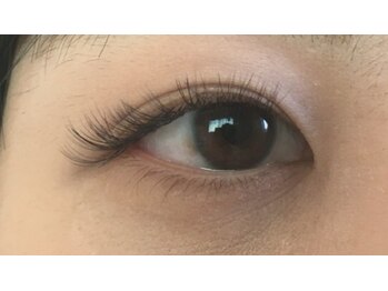 ベル アイラッシュ(Belle Eyelash)/３D８０束目尻長めC・１１ミリ