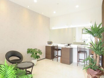 ブリエボ ニータ(BRILLER BONITA)/