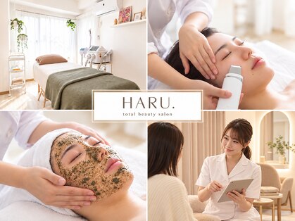 ハル(HARU.)の写真