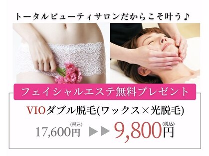 ミモザ(MIMOZA)の写真