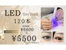 2月限定SPECIALクーポン!LEDエクステ120本6600円→5500円♪オフ代込み
