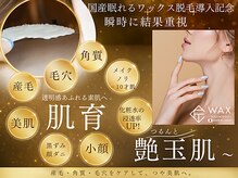 レミハ(Remiha)