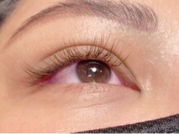 ブロッサム 若葉店(Blossom)/カラーエクステ120本【若葉】