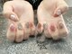 シュガービューティーネイルズ(Sugar Beauty Nails)の写真/【オーナーこだわりのパーツを豊富にご用意★】カラー豊富で700色、海外輸入のパーツも豊富にございます◎