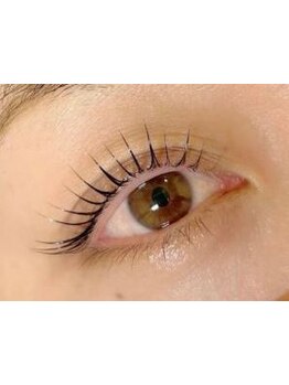 初めての方にオススメ