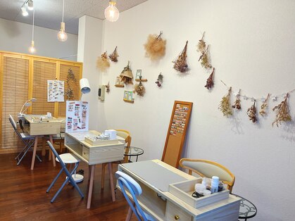 ニコ(nico)の写真