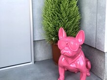 ピンクのブルドッグが目印です♪