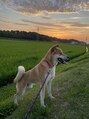 ナギ 新越谷(nagi) 実家にいる愛犬の「ぶんた」です♪地元茨城の風景とベストマッチ