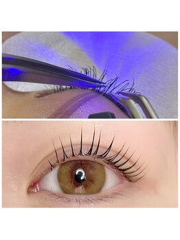 カミエニコ(Kamienico)の写真/LEDリピート率NO.1★圧倒的モチで叶える、ナチュラル上品な目元の魅力！