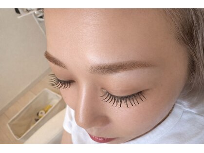 アンブル(ambre)の写真