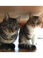 ロクラボ(ROKLABO)&nbsp;保護猫出身の兄妹。在宅勤務のプロです。