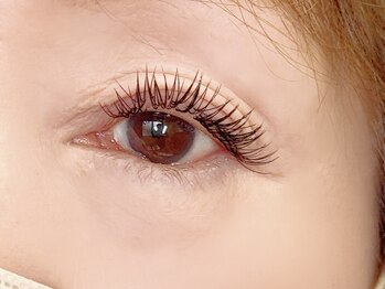 エニーラッシュ(ANYLASH)/ダブルフラットラッシュ130束