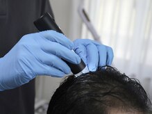 シーライン(Cline)/new photo