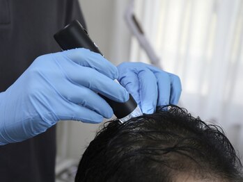 シーライン(Cline)/new photo