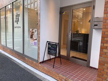 カトレア(CATTLEYA)/CATTLEYA(カトレア)入口