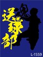ひらの整骨院 ハンドボールは送球と言います。