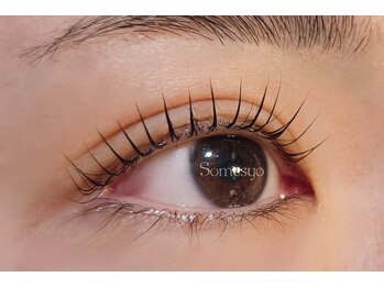 ソメショー(Somesyo)