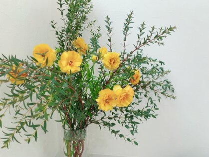 エイミー 京橋店(Amy)の写真