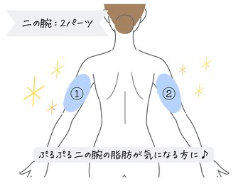 ミネット(minette)/【脂肪冷却】二の腕2カップ