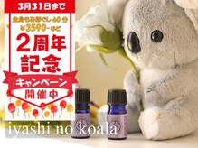 癒しのコアラ 一条 大宮店