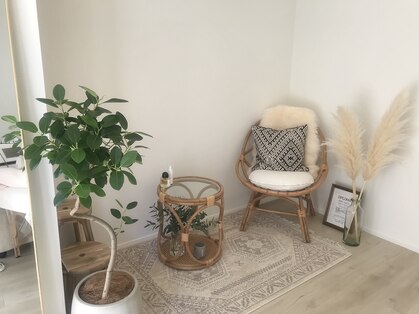 ニッカ(nicca)の写真