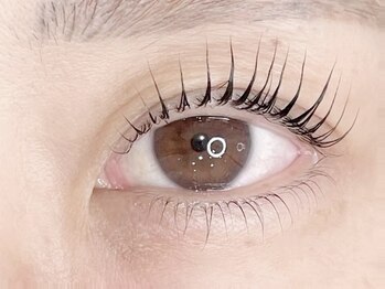 アイビーラッシュ(Eye be Lush)/上パリジェンヌラッシュリフト